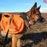MiniFinder® Atto GPS Tracker till hund / katt