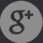Google+ Logotype