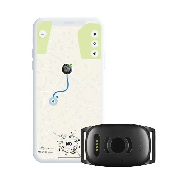 gps-halsband-katt