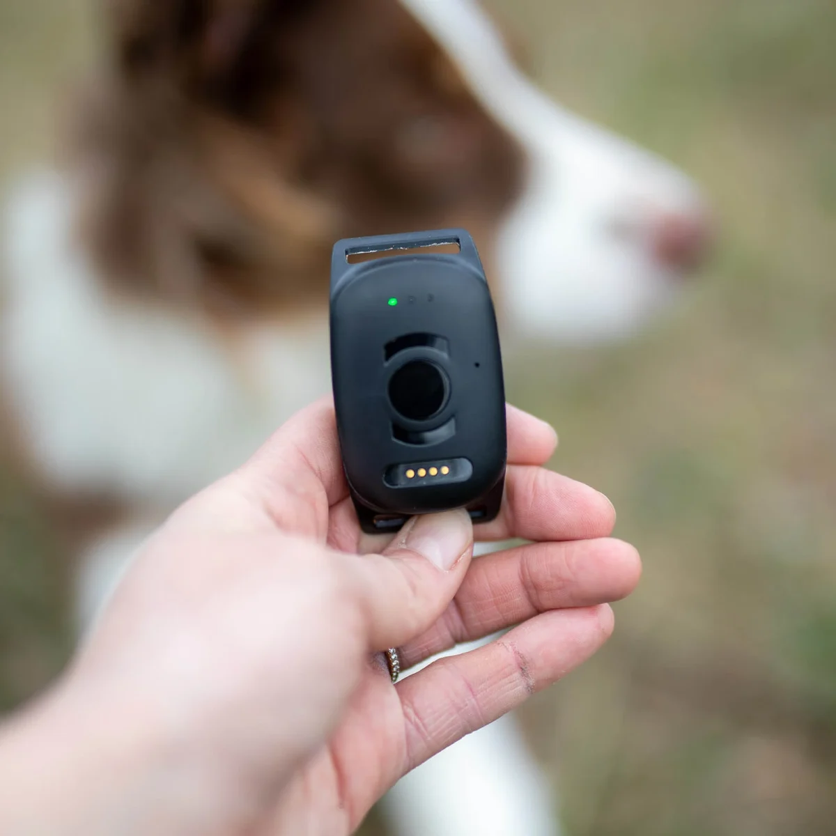 minifinder-atto-pro-till-hund