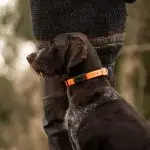 minifinder-vexo-gps-pejl