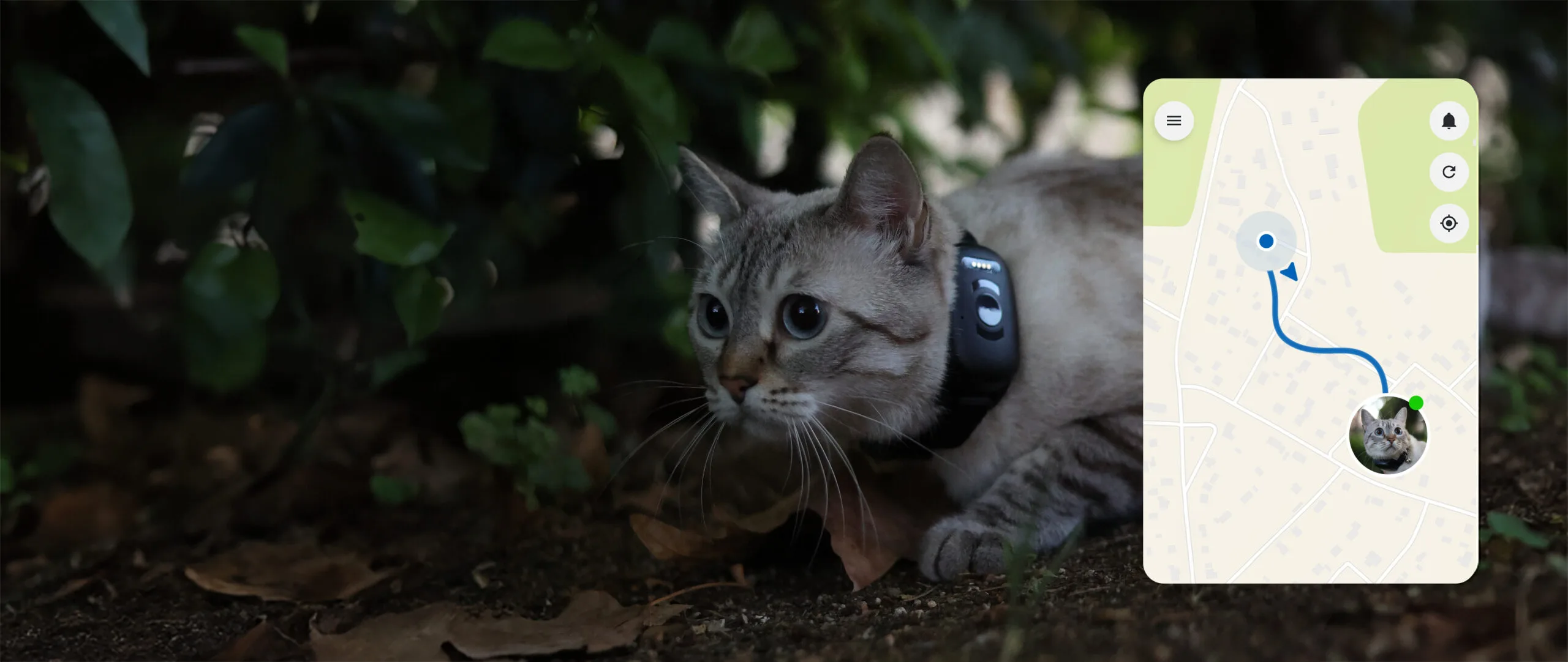 atto-pro-gps-katt