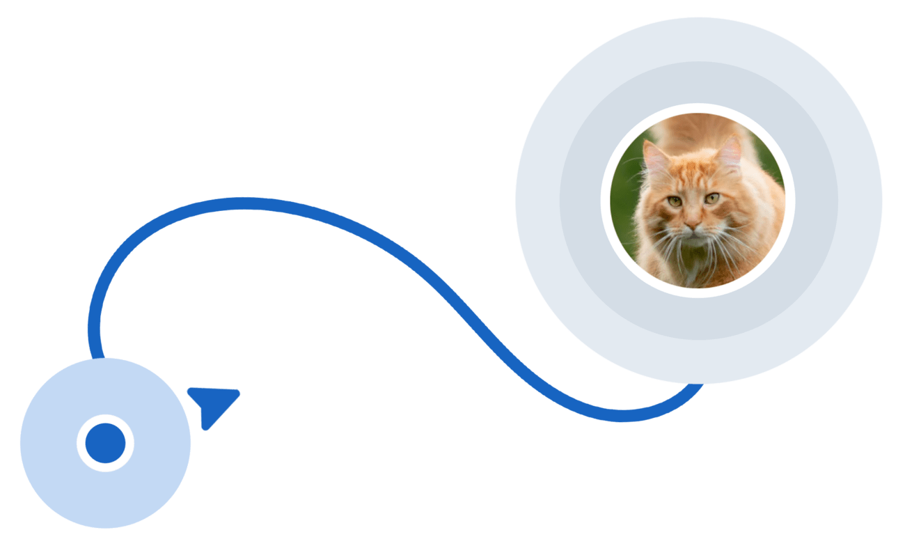 realtidspositionering-katt