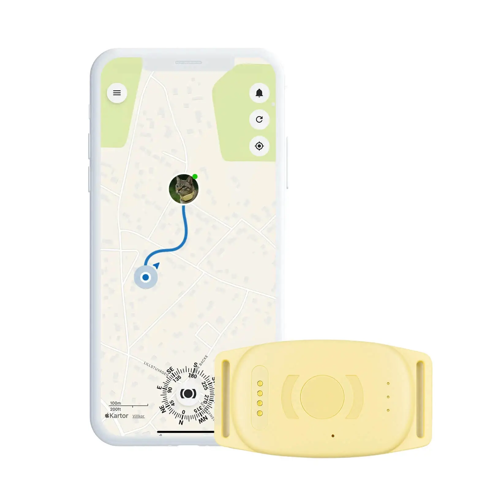 GPS-halsband-katt