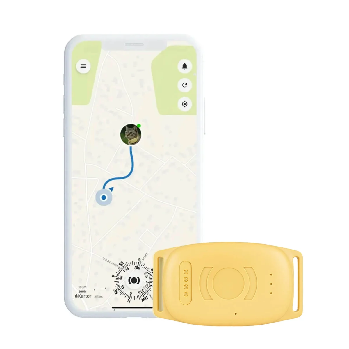 GPS-halsband-katt