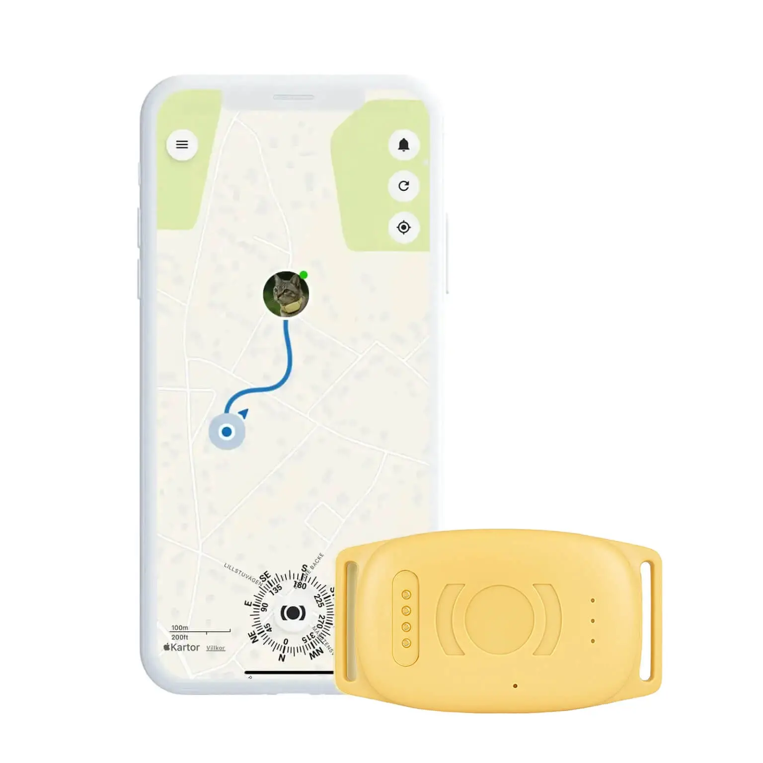 GPS-halsband-katt